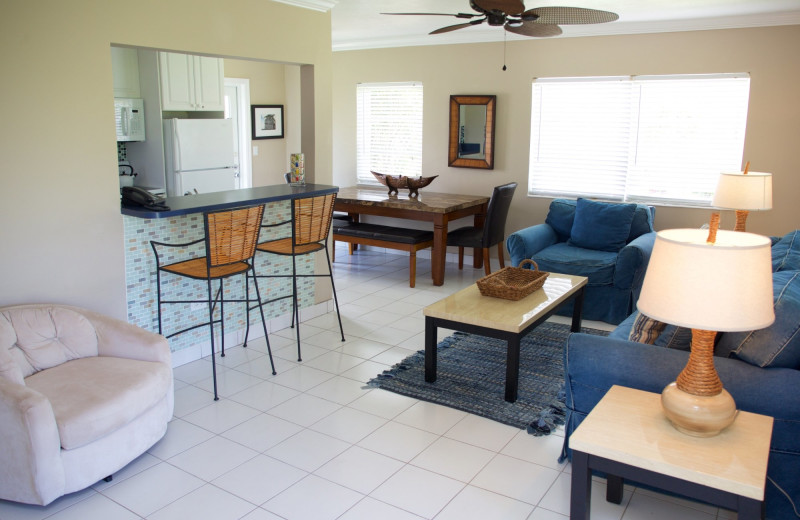 Guest living room at Royal Flamingo Villas.