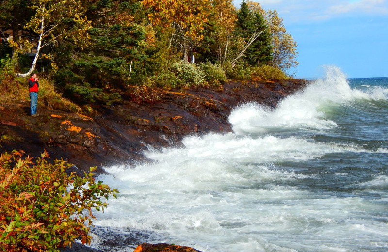 Shoreline at Solbakken Resort.