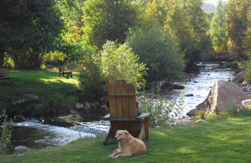 Pets welcome at Riverview Pines.