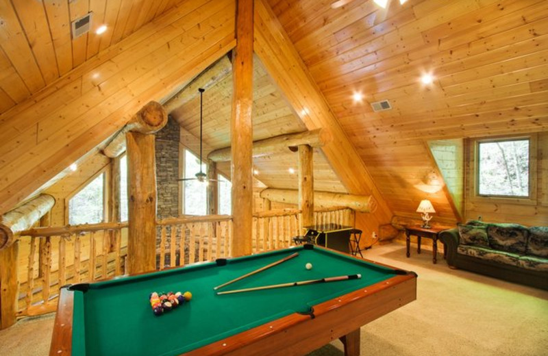 Rental billiards table at Stony Brook Cabins, LLC.