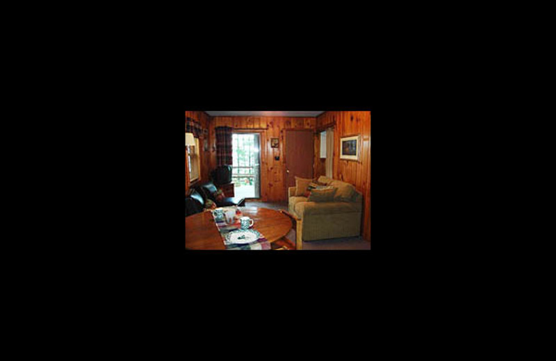 Cabin living room at Lakeview Resort on Grindstone.