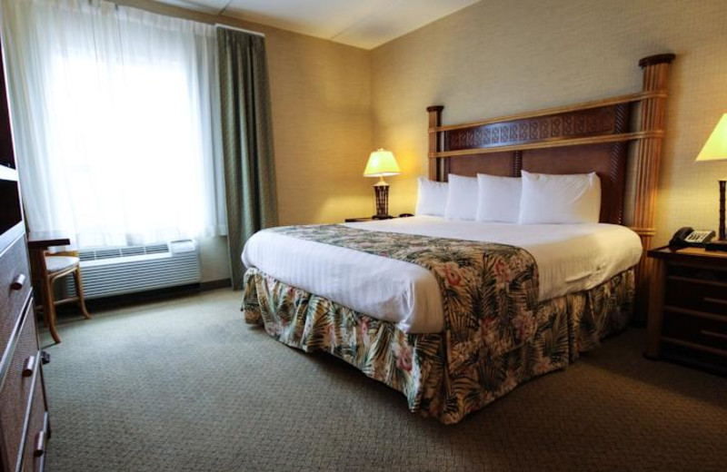 Guest room at Maui Sands Resort & Indoor Waterpark.