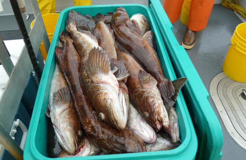 Fishing at portsman's Cove Lodge.