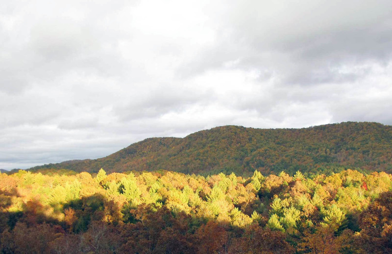 Mountains at Nevaeh Cabin Rentals.