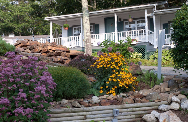 Garden at Mount Battie Motel.