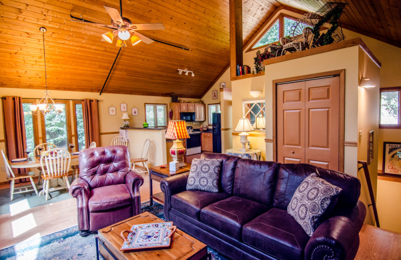 Cabin living room at Asheville Cabins of Willow Winds.