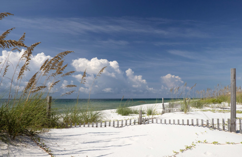 Beach at Brett/Robinson.