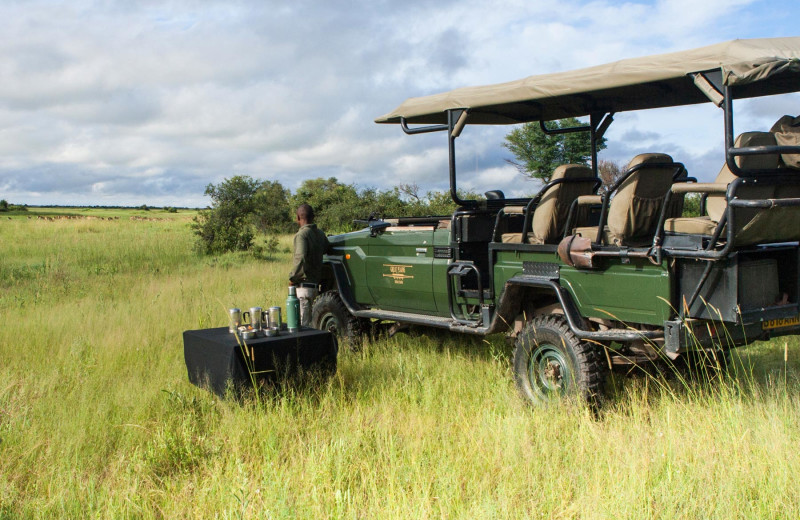 Safari at Selinda Camp.