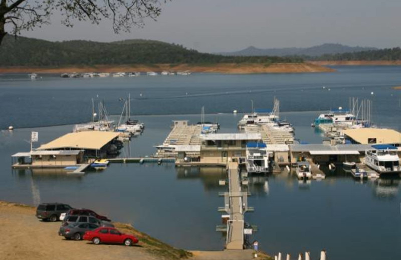 Marina at Lake Don Pedro.