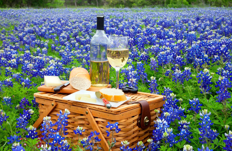 Picnic at Burnet County Tourism.