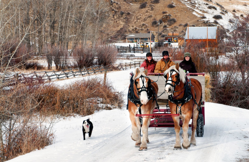 Winter at Rocking Z Ranch.