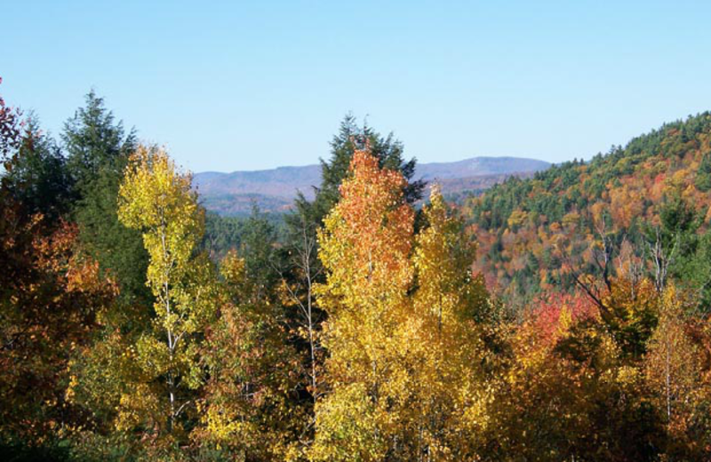 Fall leaves at Ridin-Hy Ranch Resort.