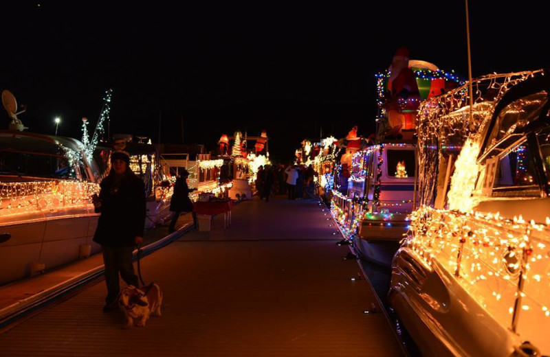 Holiday lights at Callville Bay.