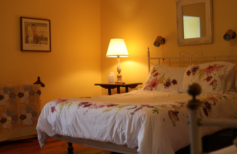 Guest room at Longswamp Bed 