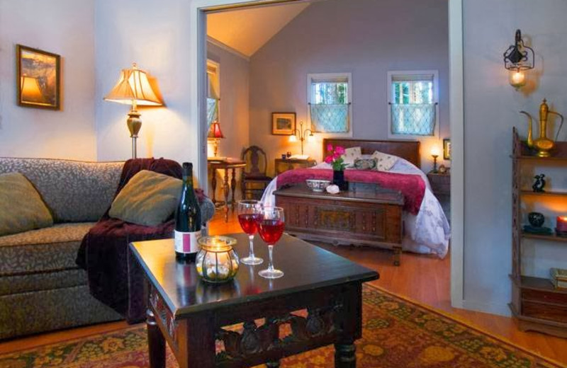 Cabin interior at WildSpring Guest Habitat.