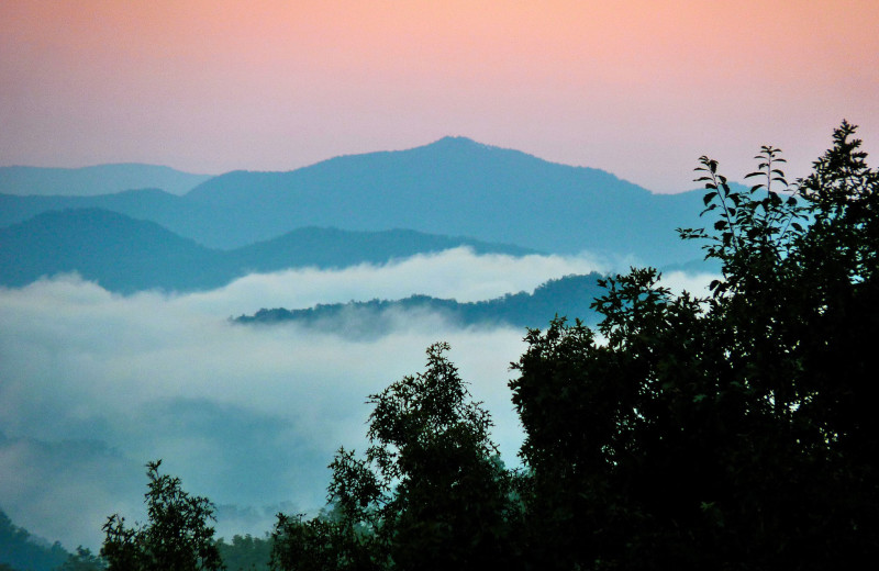 View from cabin at Rock Creek Cabins.