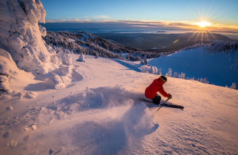 Skiing at Bear Country Property Management Ltd.