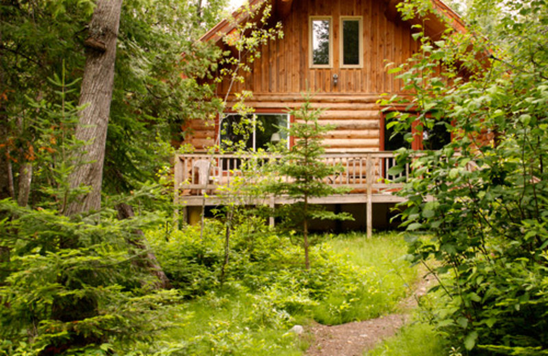 Exterior cabin view at Heston's Lodge.
