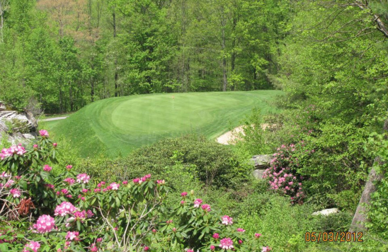 Resort gardens at The Cabins at Pine Haven.