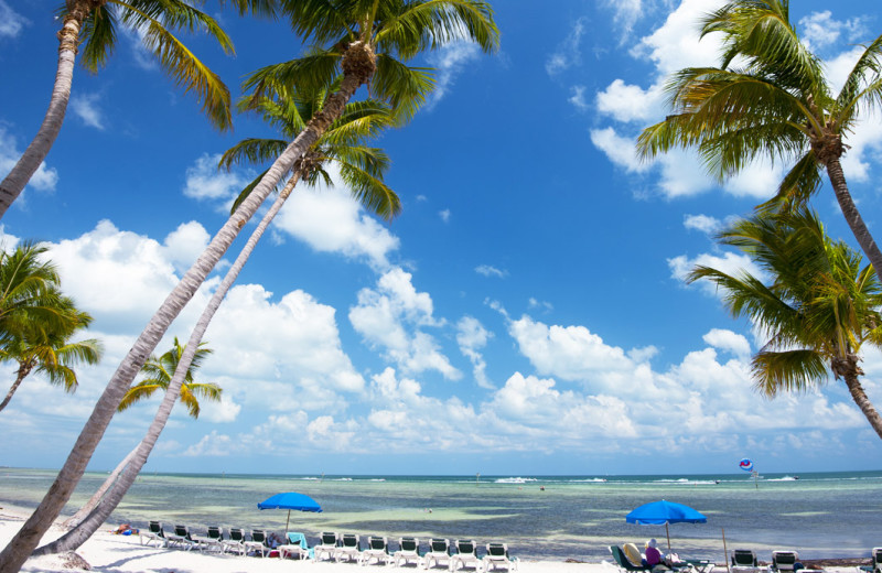 The beach at The Inn at Key West.