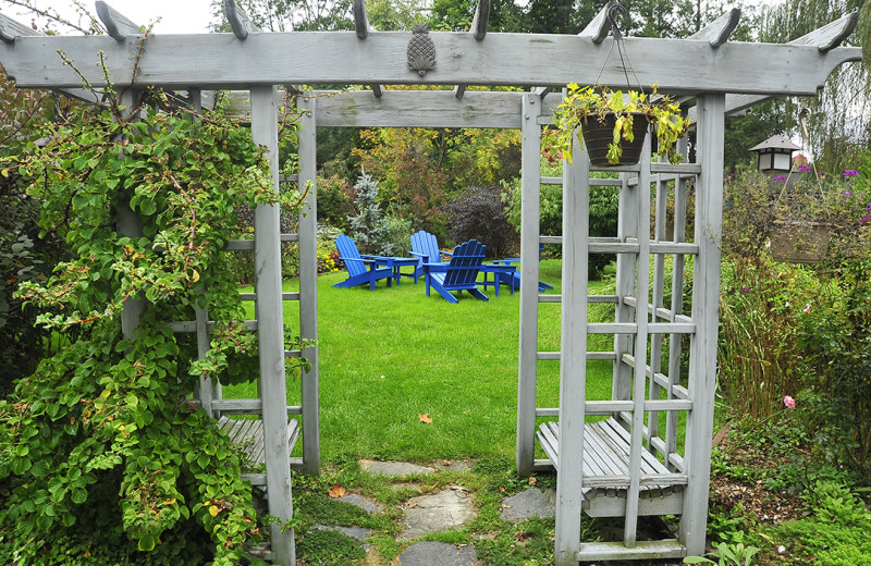 Garden view at Maple Terrace Motel.