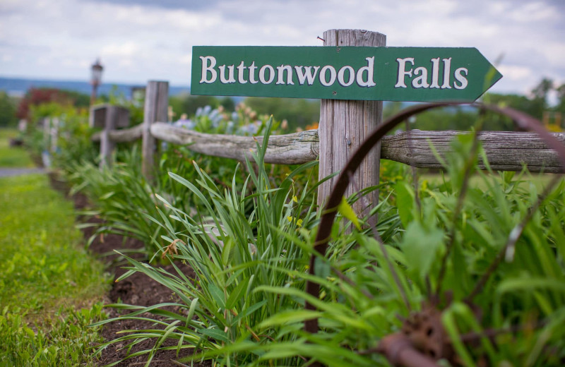 Garden at Buttonwood Grove Winery