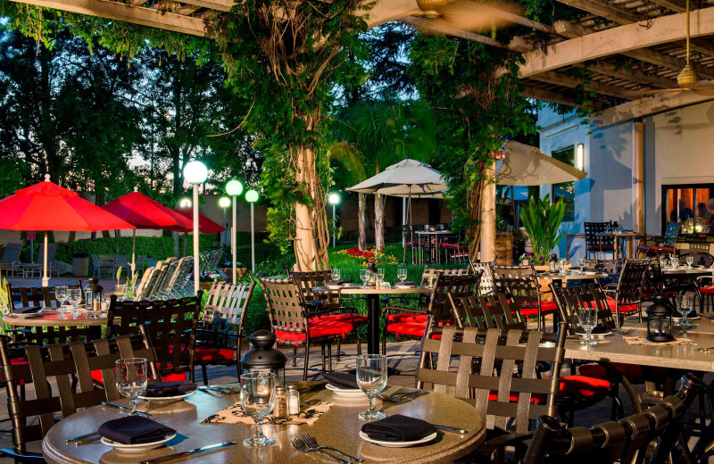 Patio at Sacramento Marriott Rancho Cordova.