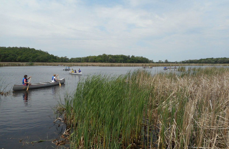 Canoeing near Spicer Green Lake Resort.