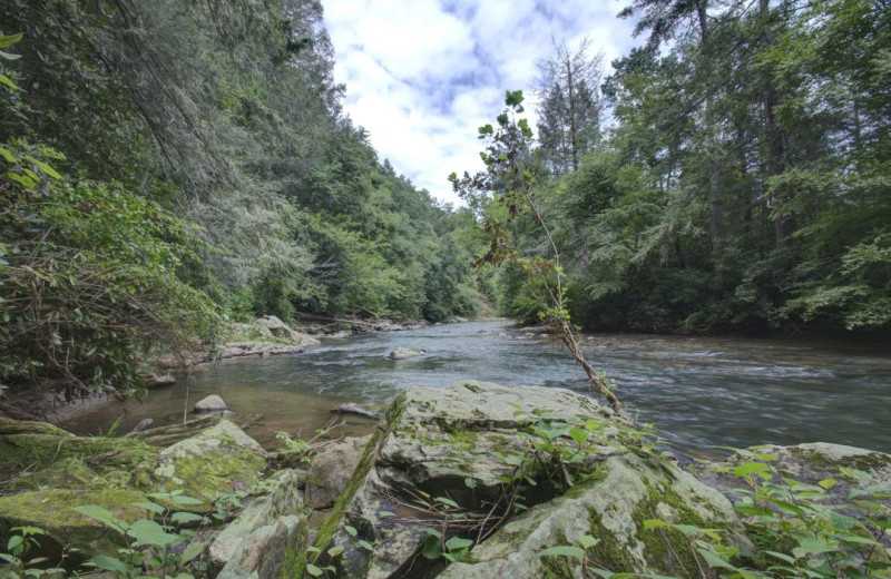 River at Carolina Mornings.