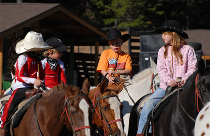 Horseback Riding at Nine Quarter Circle Ranch