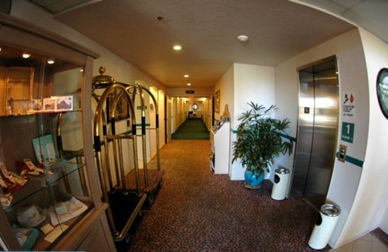 Hotel hallway at Forest Villas Hotel.