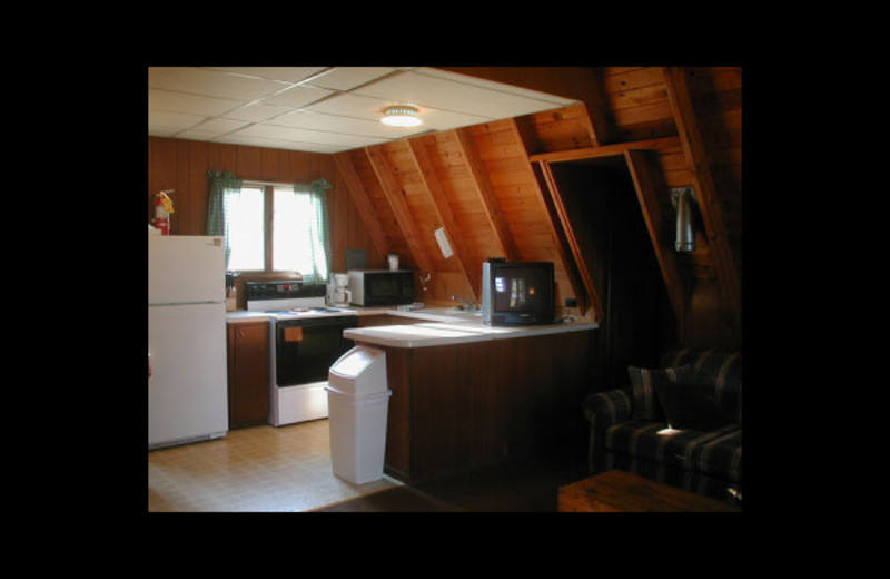 Cabin kitchen at Birch Bay Resort.