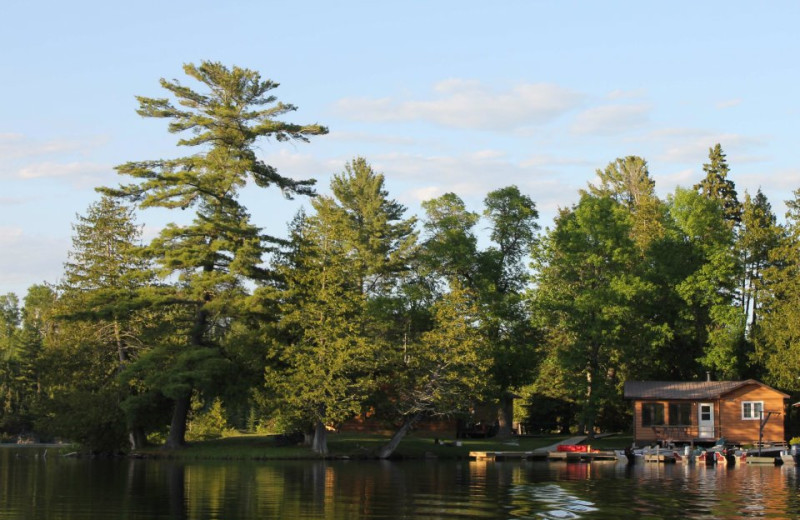 The Lake at Cedar Island Lodge