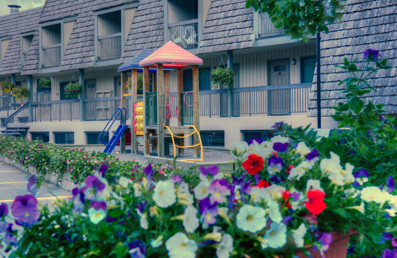 Playground at Tunnel Mountain Resort