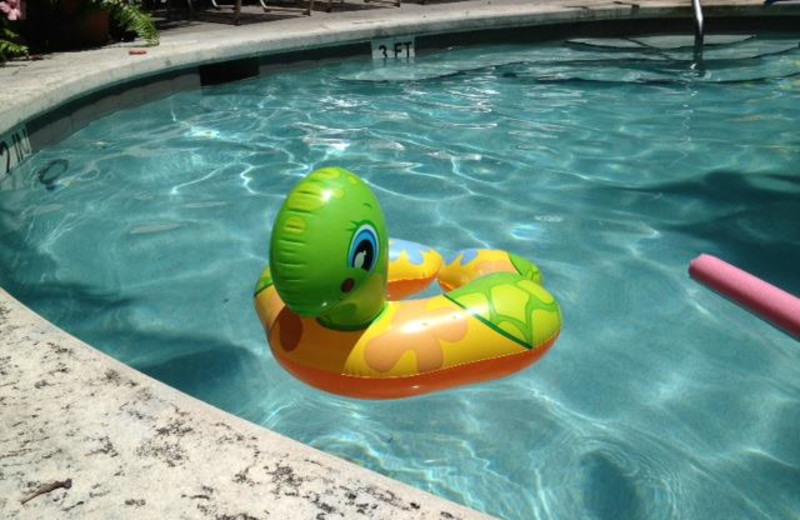 Outdoor pool float at The Banyan Resort.