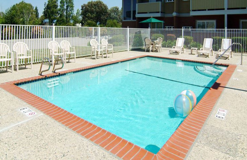 Outdoor Swimming Pool at Quality Inn Santa Clara Convention Center