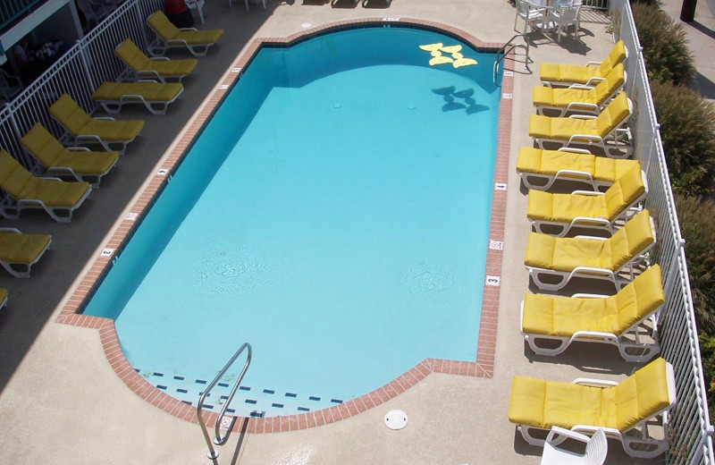 Outdoor pool at Shangri La Motel.