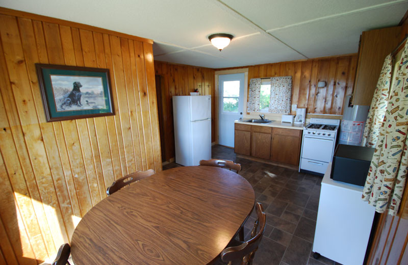 Cabin kitchen at Birch Forest Lodge.