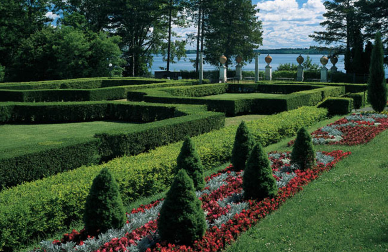 Hedge maze at Geneva on the Lake.