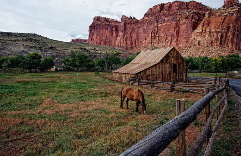 Scenic view at Escalante Yurts.