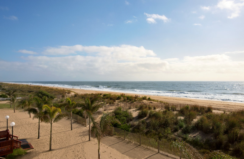 Beach at Quality Inn Oceanfront Ocean City.