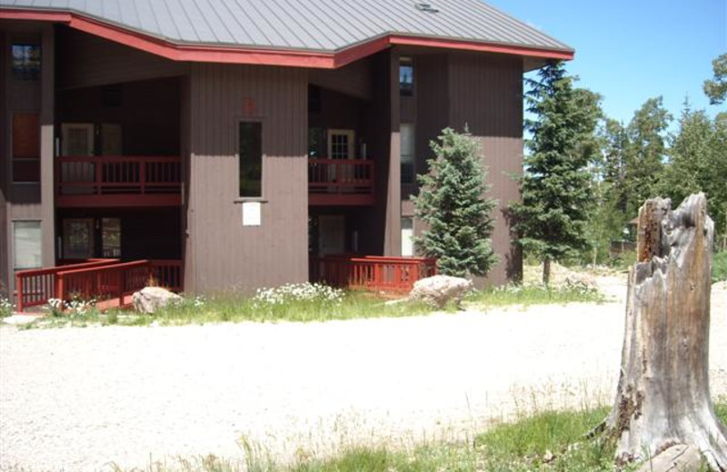 Condo exterior at Lori's Luxury Rentals.