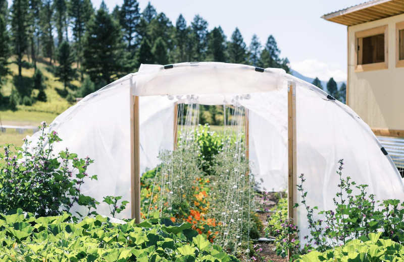 Green house at Hardscrabble Ranch.