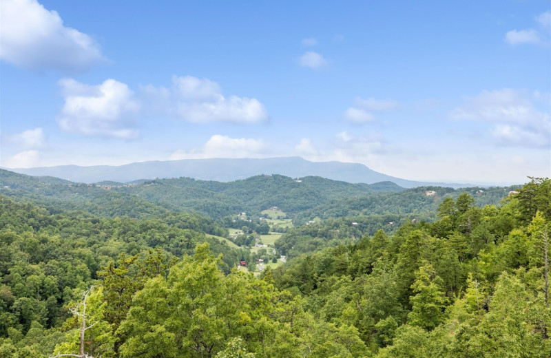 View from American Patriot Getaways - Morning Wood.