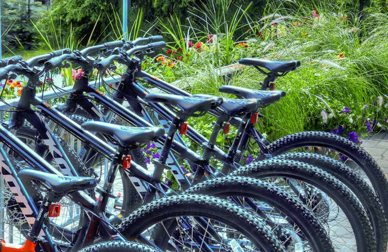 Bikes at Banff Caribou Lodge & Spa.