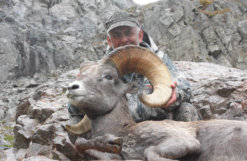 Ram hunting at Kendall Valley Lodge.