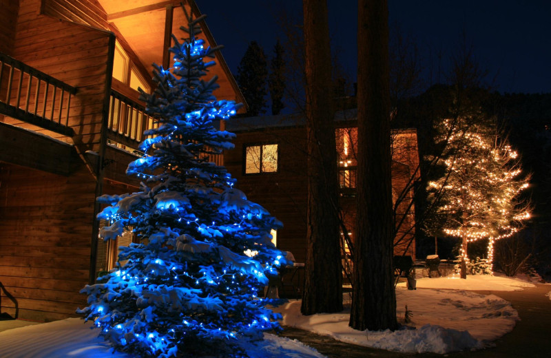Holiday lights at Woodlands On Fall River.