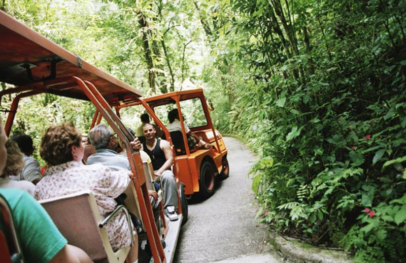 Camuy Cave Park Tour near Oceano Beach Resort.