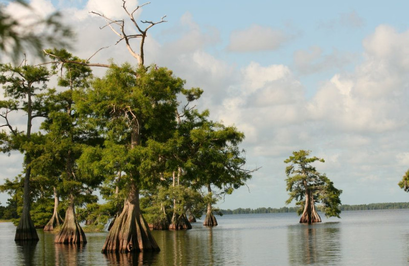 Boating Blue Cypress Lake at Middleton Fish Camp.