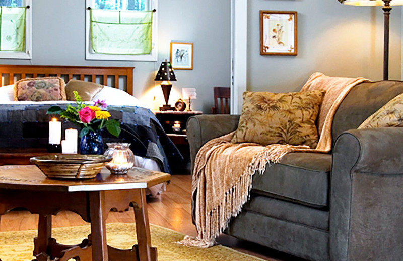 Cabin interior at WildSpring Guest Habitat.
